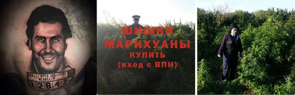 гашиш Богданович