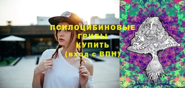 спиды Аркадак